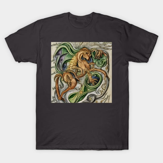 Dragon T-Shirt by AlienMirror